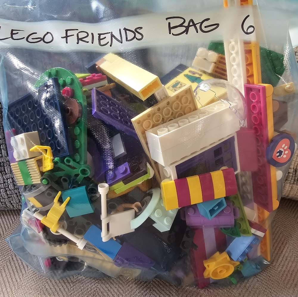 Lego Friends Gallon Bag 6 (1.4 lbs)